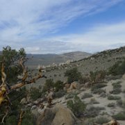 MonoBasin 202 : MonoBasin